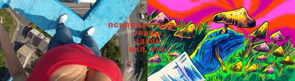 марки nbome Алзамай