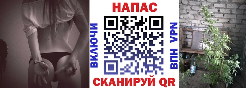 Шишки марихуана Bruce Banner  где продают   Чадан 